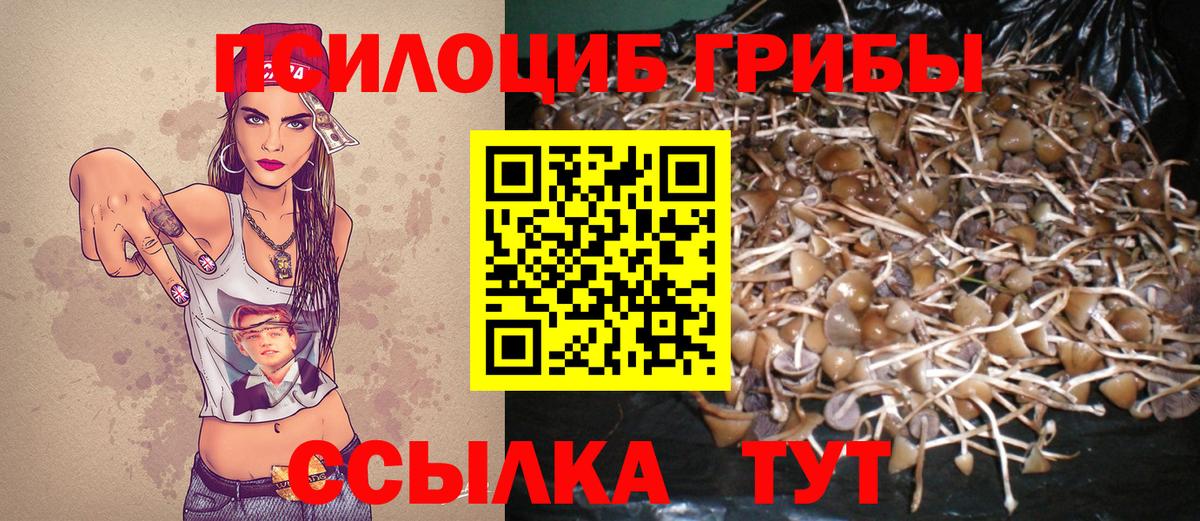 Ростов-на-Дону  Галлюциногенные грибы мухоморы  Вход с VPN 