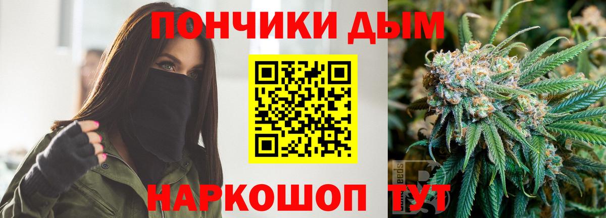 Бошки Шишки ГИДРОПОН  Бошки марихуана ГИДРОПОН  Марихуана SATIVA & INDICA  Вход с VPN  Ростов-на-Дону 
